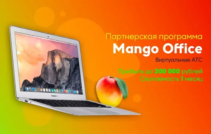 Франшиза Mango Office