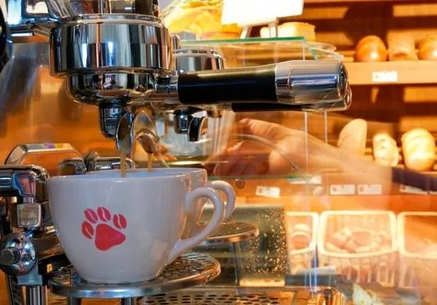 Франшиза Кофейня Leoncoffee