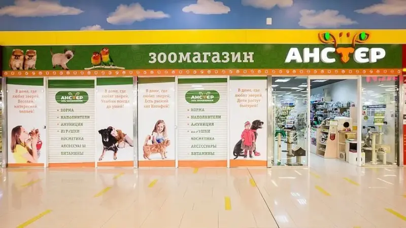 Франшиза АНСТЕР