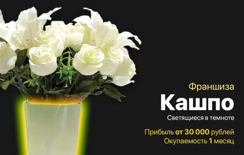 Франшиза Кашпо, светящиеся в темноте
