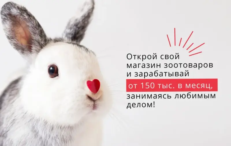 Франшиза Красный Кролик - зоомагазин