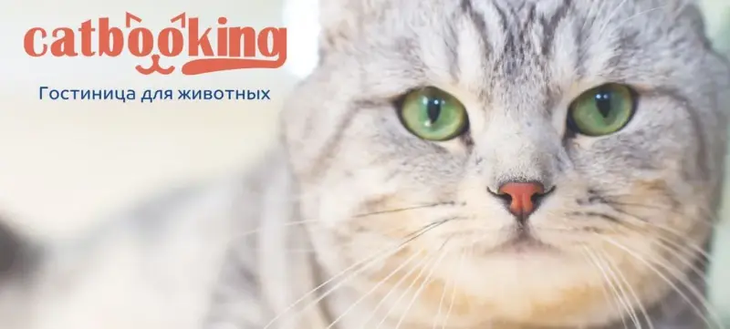 Франшиза Bookingcat - сеть отелей для животных