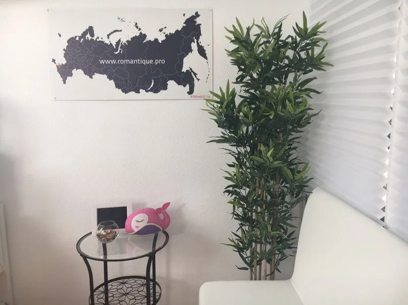 Франшиза Kitevent