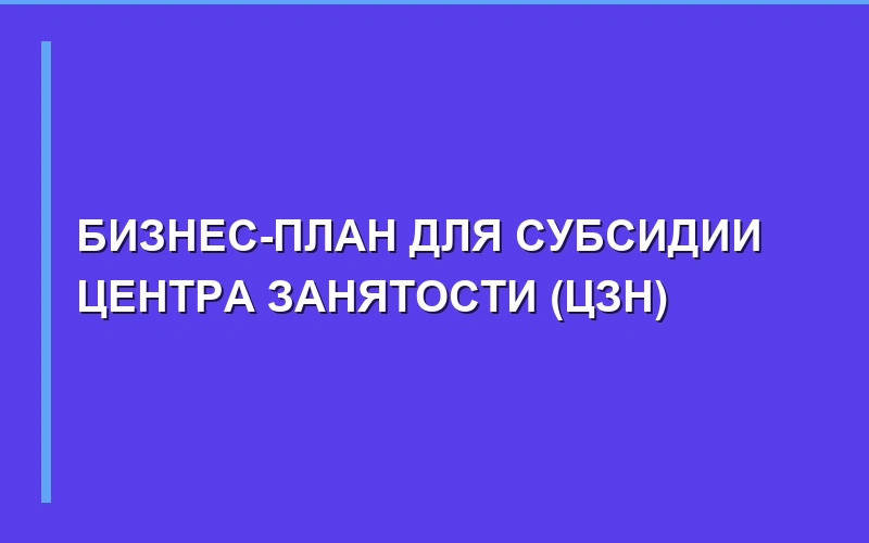Бизнес-план для субсидии Центра занятости населения (ЦЗН)