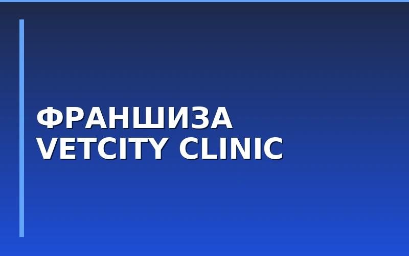 Франшиза Vetcity Clinic: запуск ветклиник по модели Misty Group