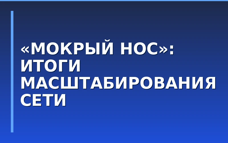 Итоги августа сети «Мокрый нос»: новые открытия в Сибири и участие в выставке франшиз