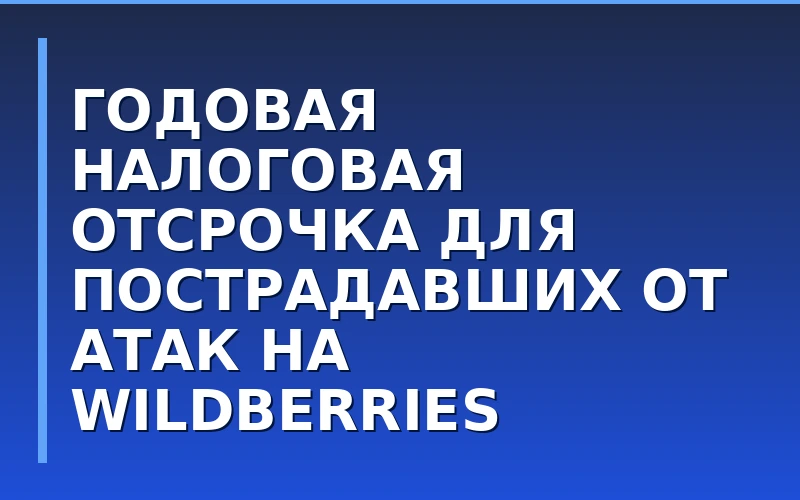 Налоговые каникулы для селлеров и сетей: пострадавшие от атак на склады Wildberries получат отсрочку на год