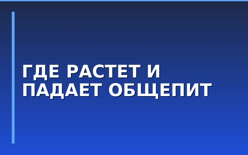 Рынок общепита в городах-миллионниках: аналитика, форматы и динамика по регионам