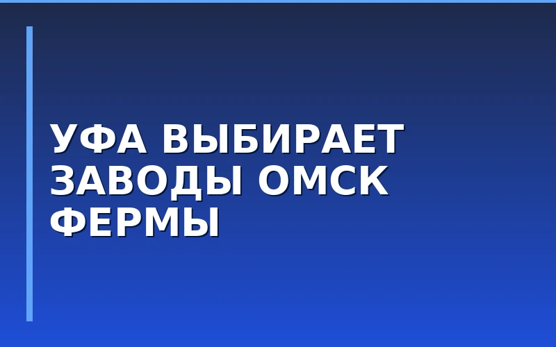 Спрос на франшизы в регионах: Уфа выбирает производство, Омск — агросектор