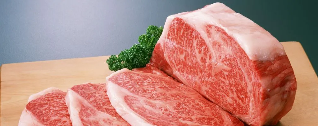 Франшиза Tacoritto