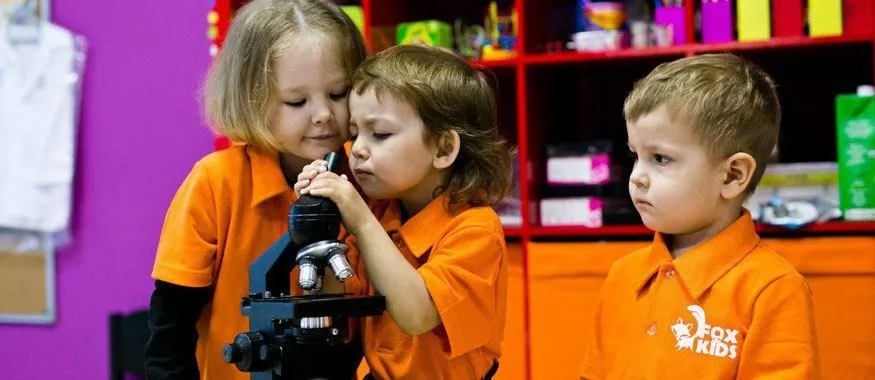 Франшиза Tacoritto