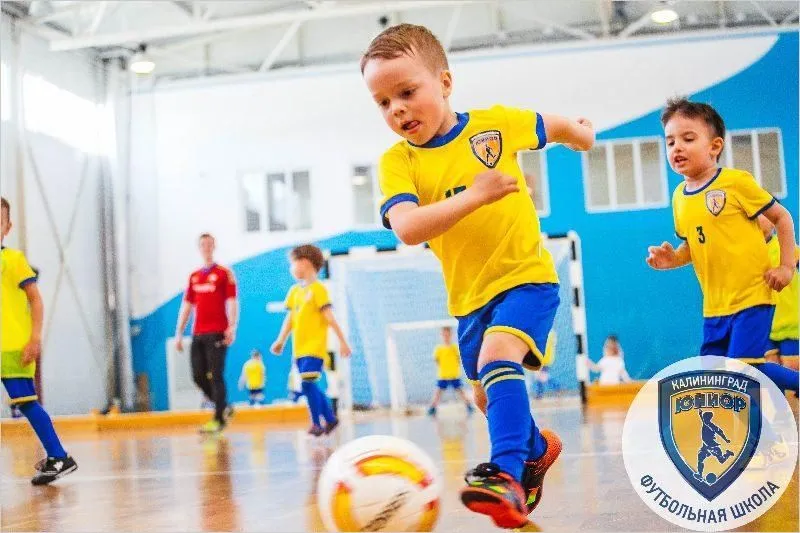 Франшиза Tacoritto