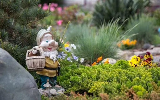 Франшиза Tacoritto