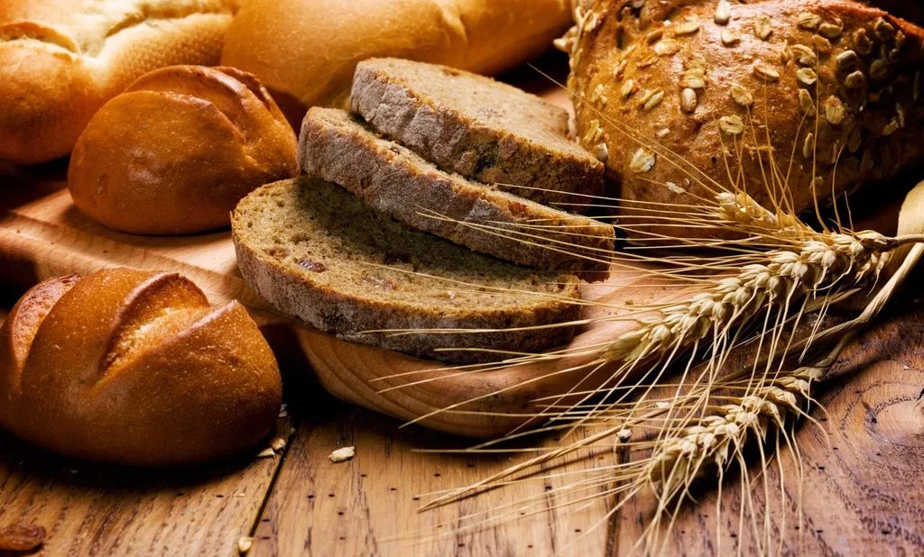 Франшиза Tacoritto