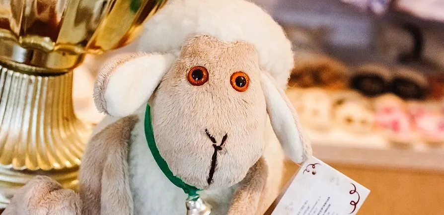 Франшиза Tacoritto