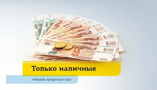 Франшиза Tacoritto
