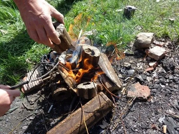 Франшиза Tacoritto