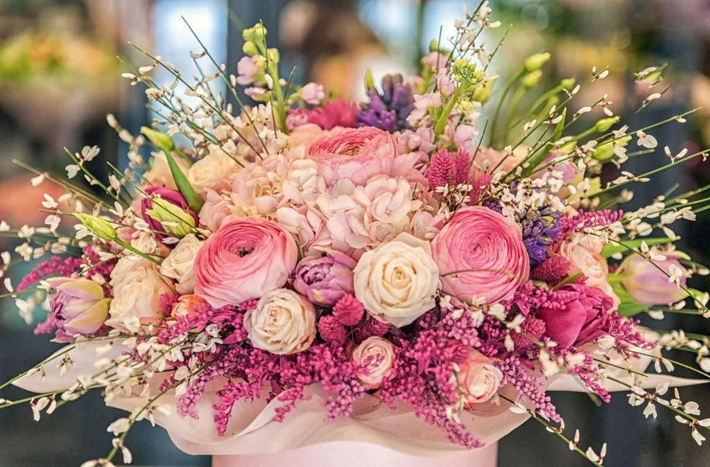 Франшиза Tacoritto