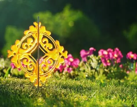 Франшиза Tacoritto