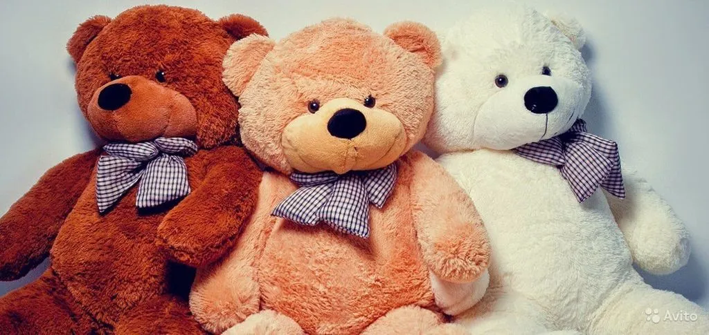 Франшиза Tacoritto