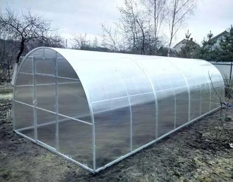 Франшиза Tacoritto