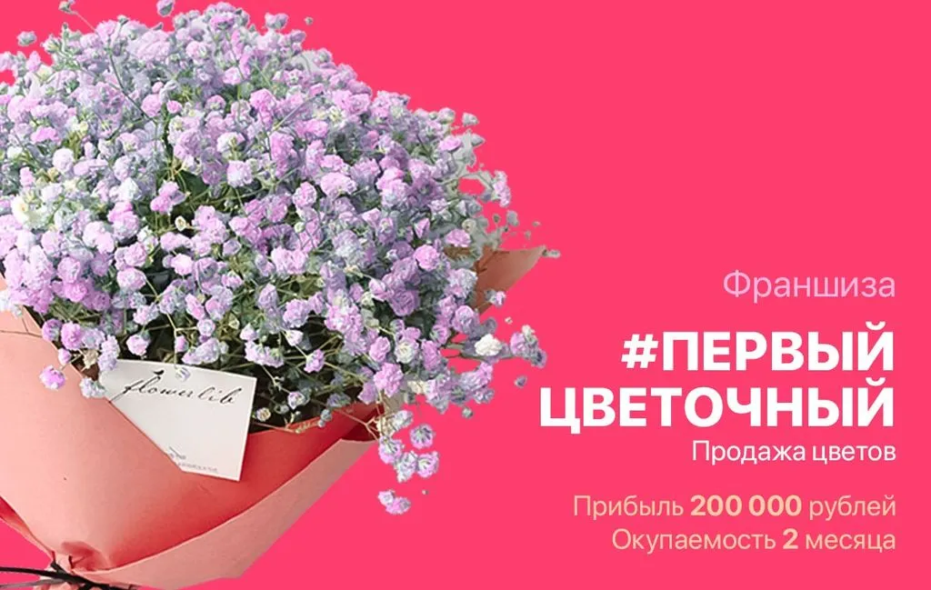 Франшиза Tacoritto