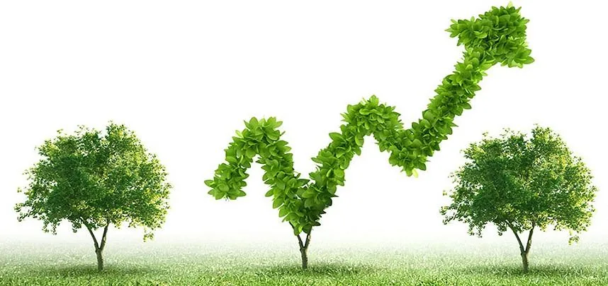 Франшиза Tacoritto