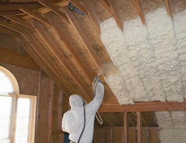 Франшиза Tacoritto