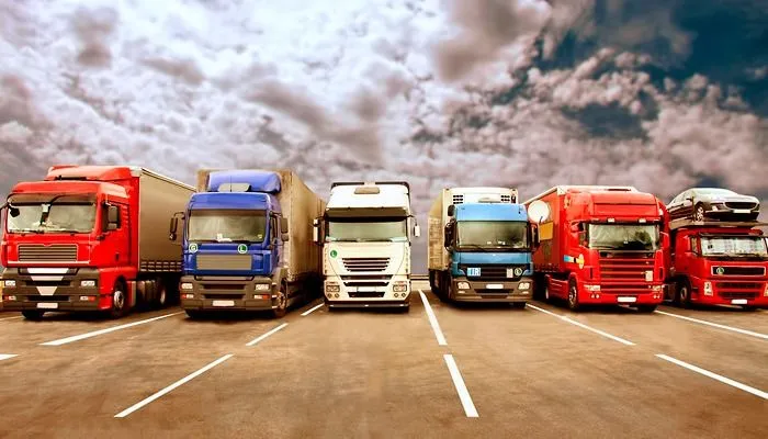 Франшиза Tacoritto