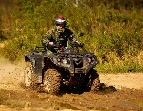 Франшиза Tacoritto