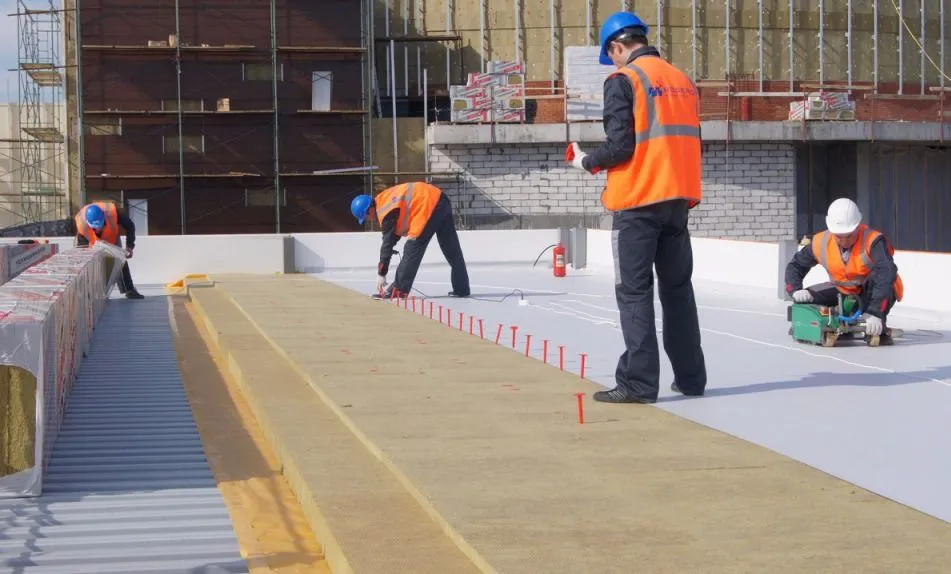 Франшиза Tacoritto