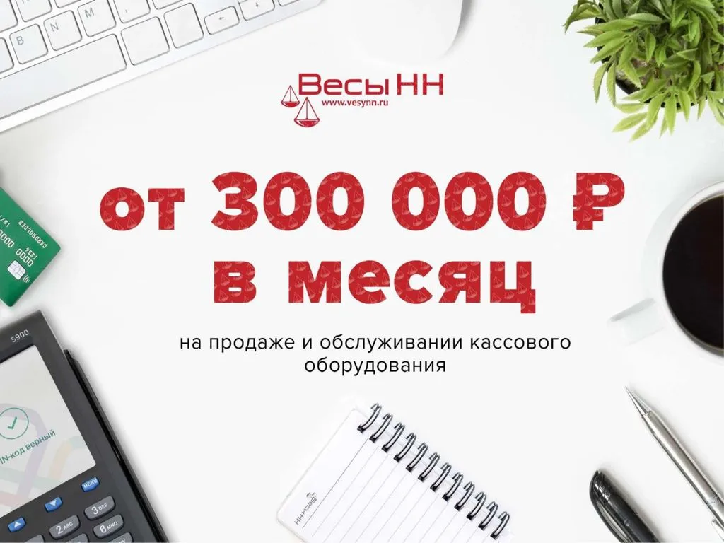 Франшиза Tacoritto