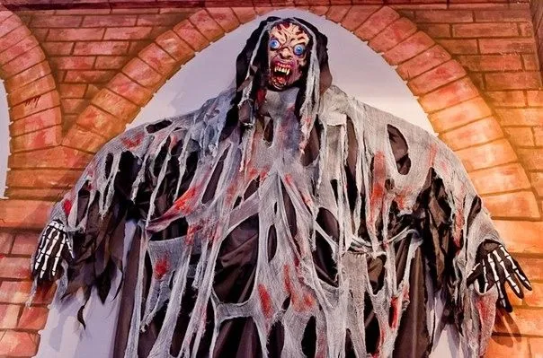 Франшиза Tacoritto